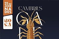 Jornades de la galera 2026