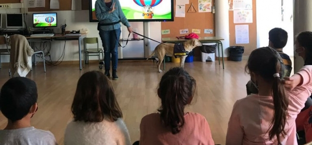 Els tallers d’educació pel desenvolupament amb gossos de teràpia tornen a les escoles de Cambrils. Els tallers d’educació pel desenvolupament amb gossos de teràpia tornen a les escoles de Cambrils.