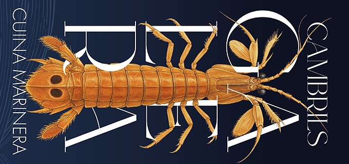 JORNADES DE LA GALERA CAMBRILS